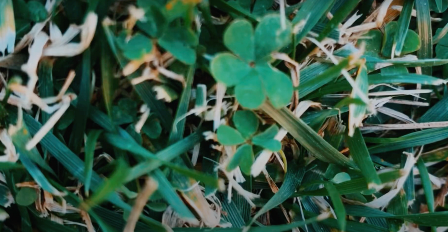 FOUR x production track x YUMIKO DIA LUNA