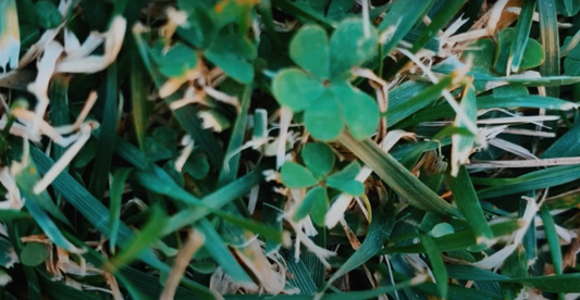 FOUR x production track x YUMIKO DIA LUNA